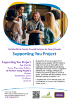 Supporting You Project Poster