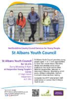 Youth Council Project Poster