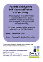 Parents and Carers talk about self harm